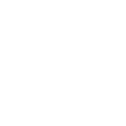 icon-1 A simple line icon of a web browser window with a shield symbol in the center, representing internet security or web protection.